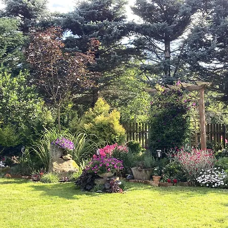 Gosciniec Pod Bukiem Appartamento