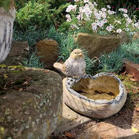 Gosciniec Pod Bukiem Appartement *