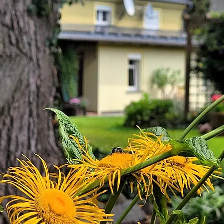 Appartement Gosciniec Pod Bukiem Świeradów-Zdrój