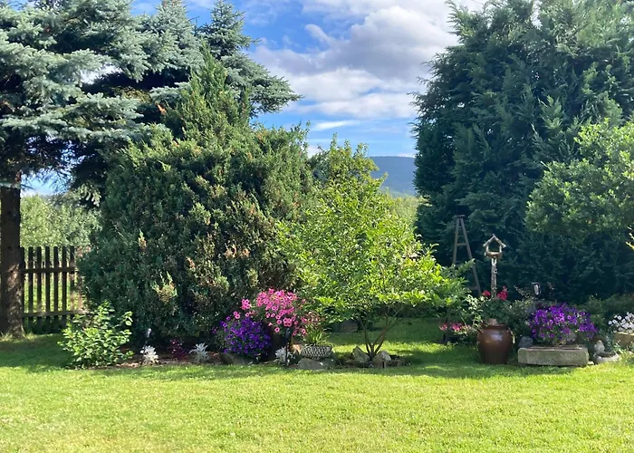 Апартаменты Gosciniec Pod Bukiem