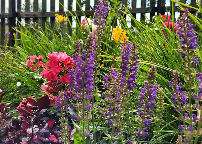 Gosciniec Pod Bukiem Apartment