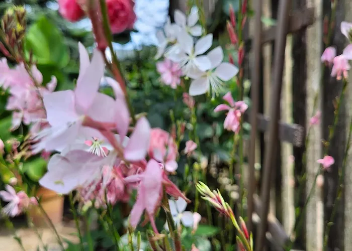 Apartment Gosciniec Pod Bukiem *