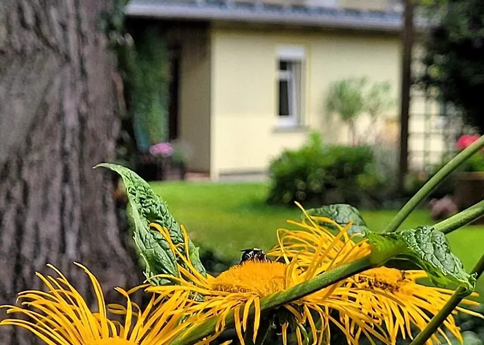 Apartment Gosciniec Pod Bukiem Swieradow-Zdroj