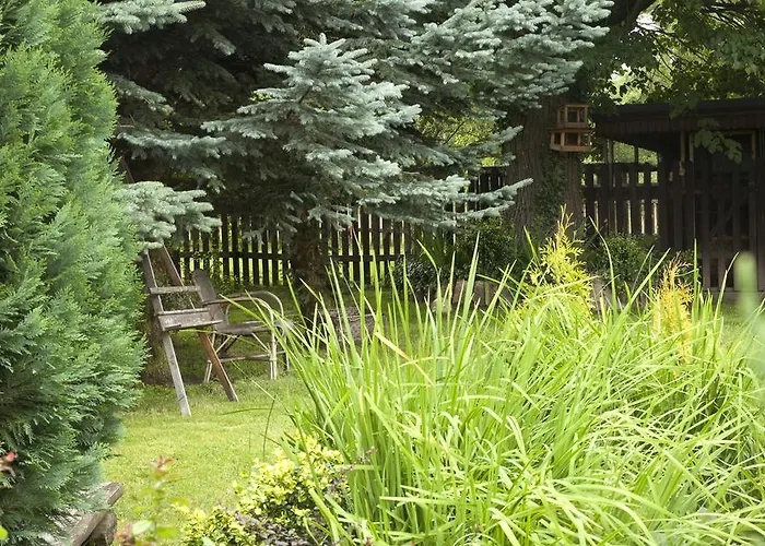 Apartment Gosciniec Pod Bukiem *