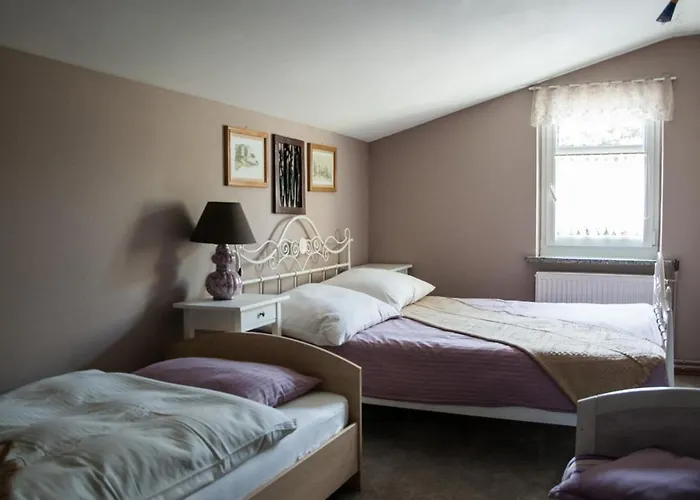 Апартаменты Gosciniec Pod Bukiem